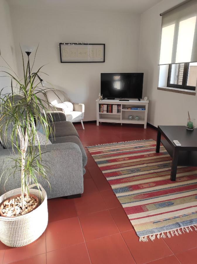 Apartamentos Cimo De Vila Vouzela Exteriör bild