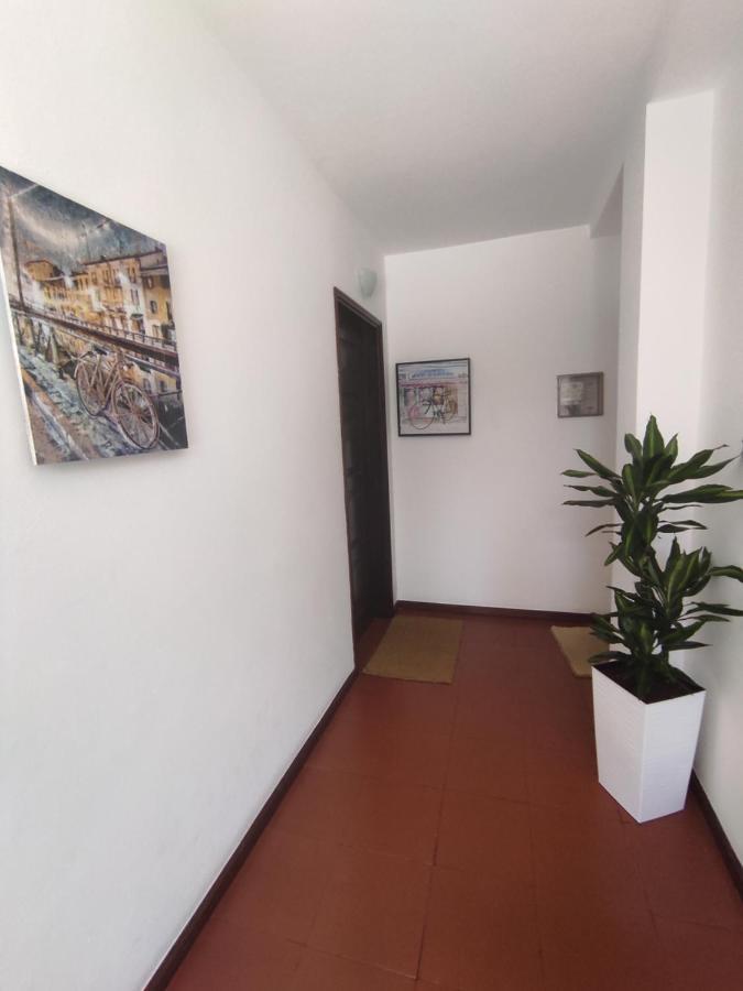 Apartamentos Cimo De Vila Vouzela Exteriör bild
