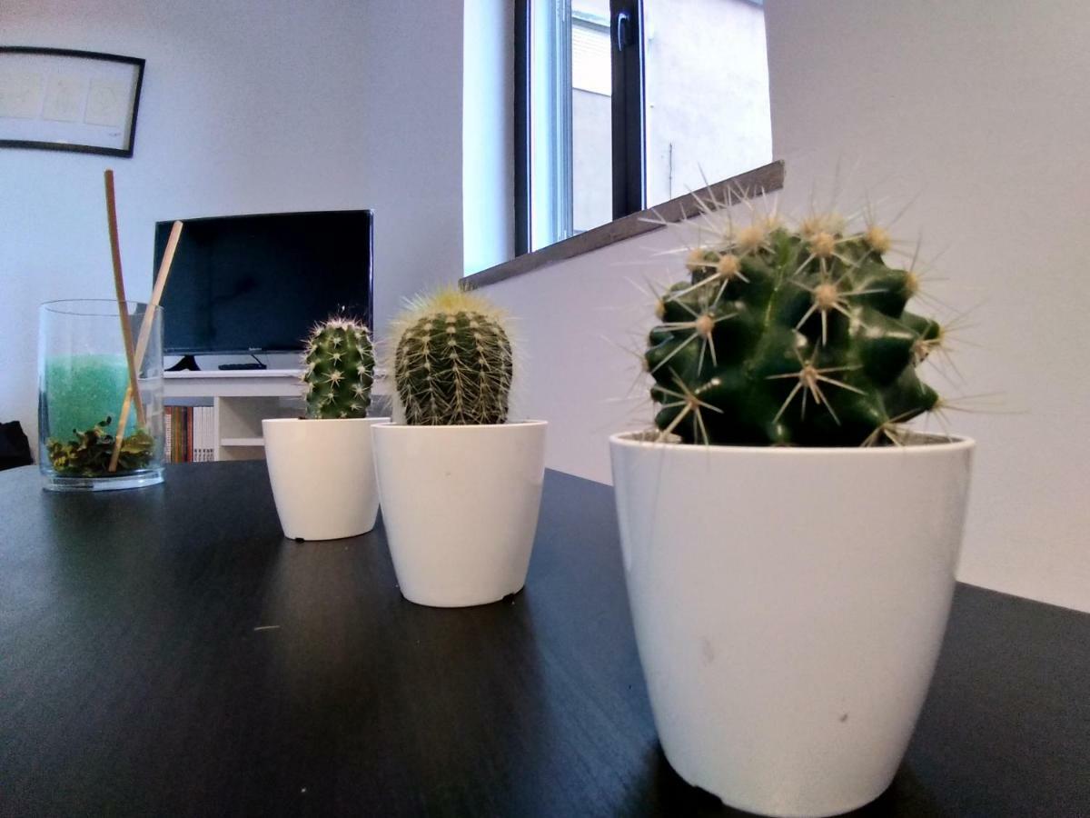 Apartamentos Cimo De Vila Vouzela Exteriör bild